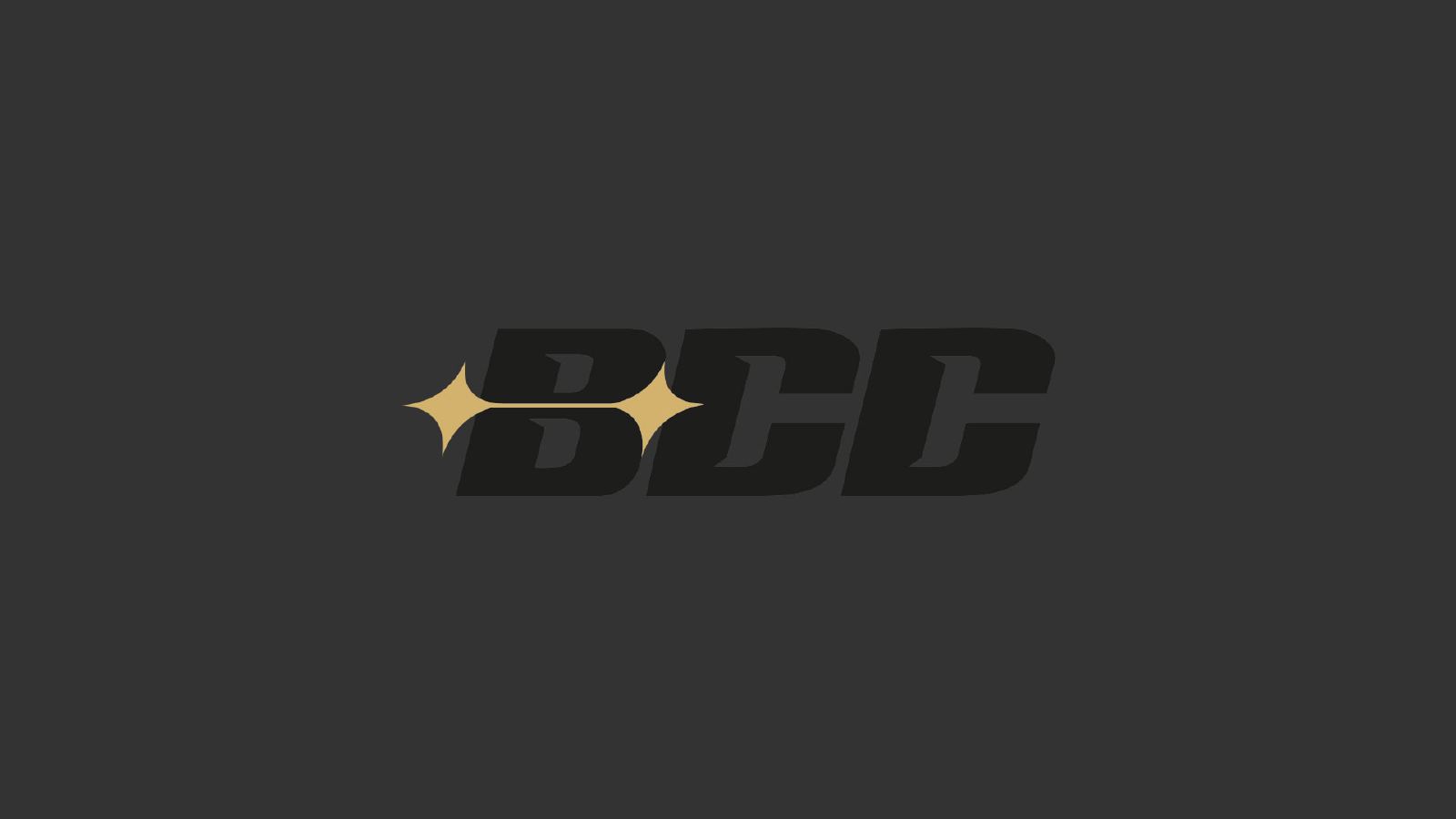 Billionaires Car Club — BBC 108 Branding, page 8