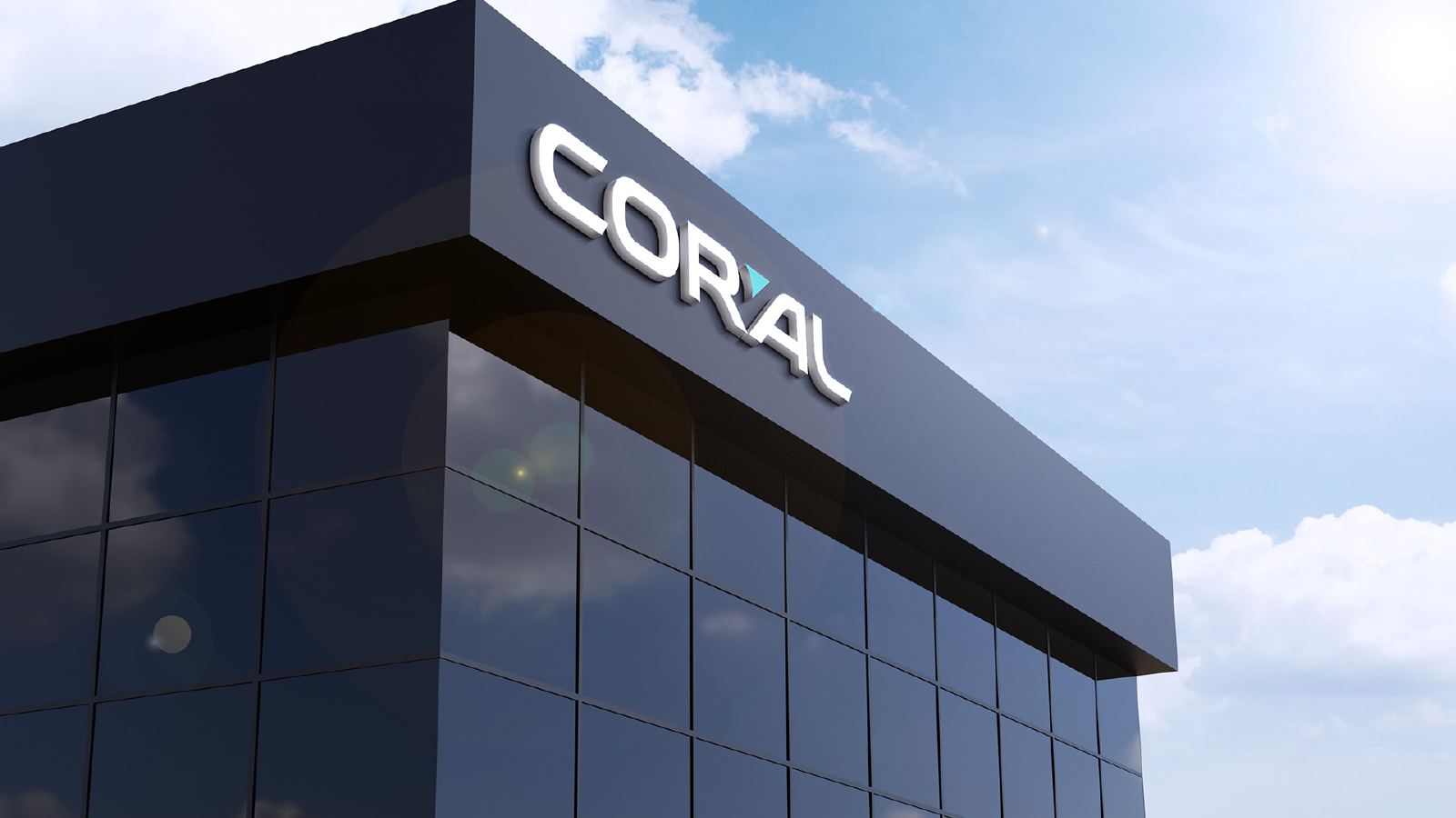 Coral Group — Coral Group Presentation, page 8
