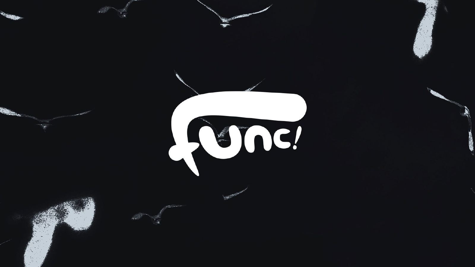 Func — Func Branding Presentation, page 15