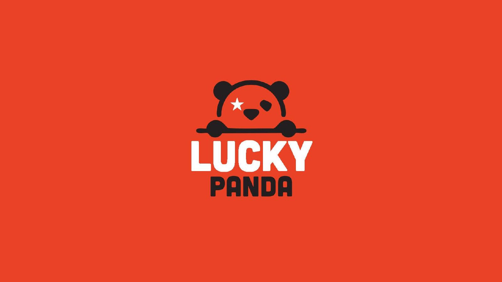 Lucky Panda — Logo Design Presentation, page 4