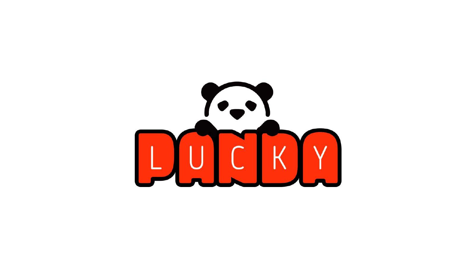 Lucky Panda — Logo Design Presentation, page 13