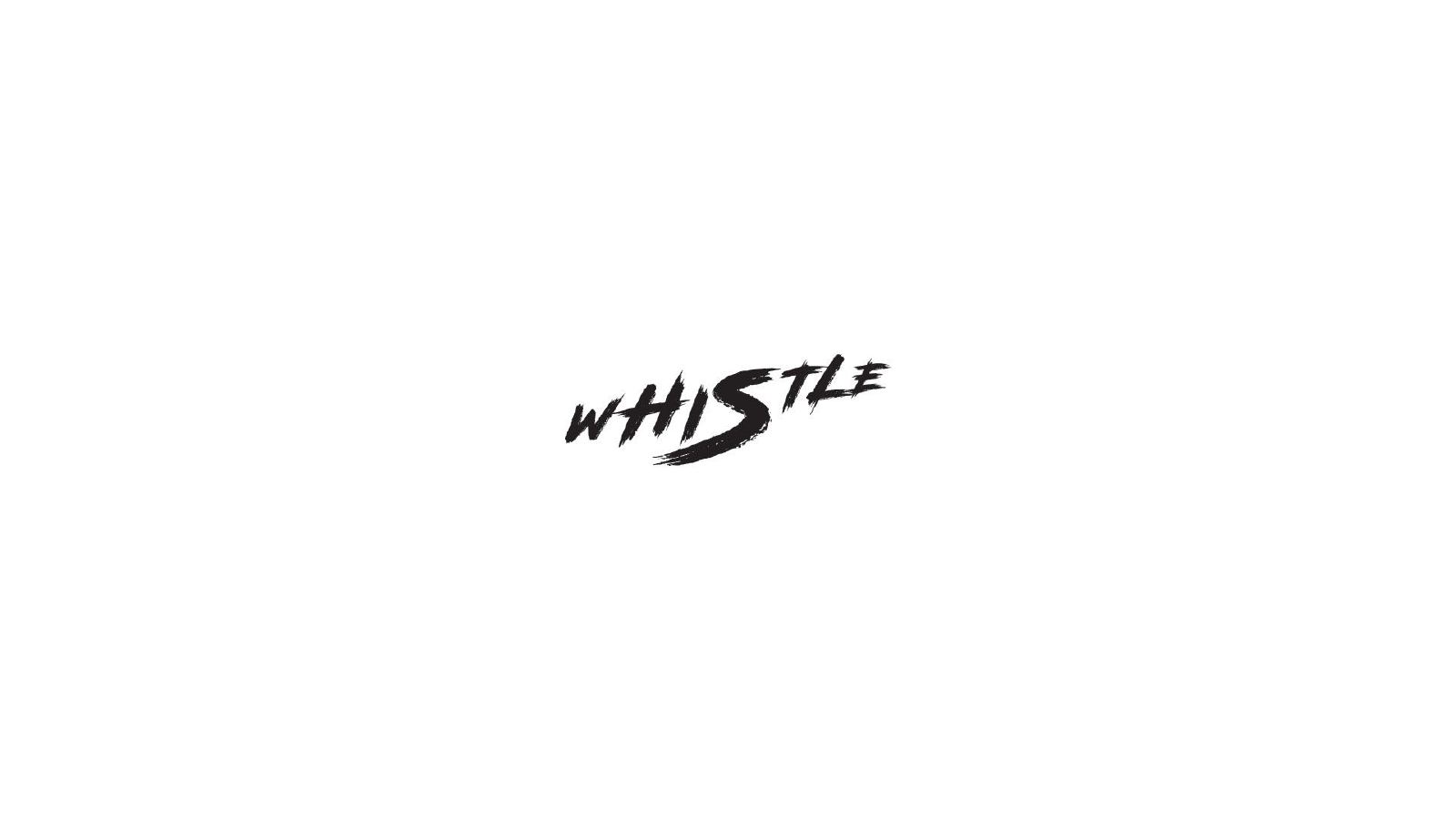 Whistle — Whistle Branding Presentation 01, page 29