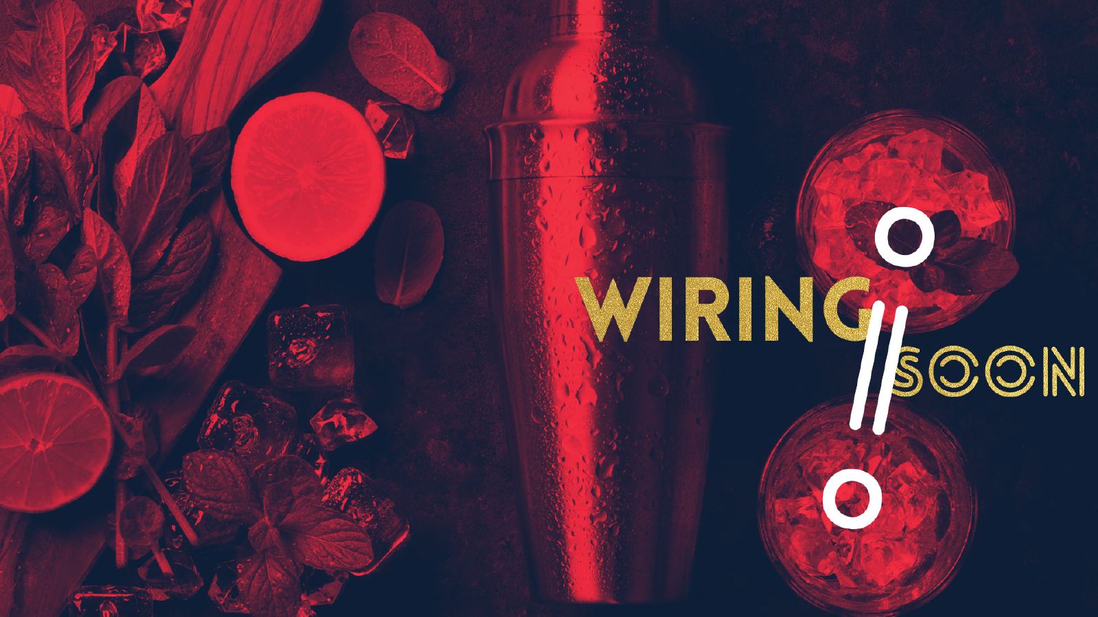 Wire Room — WIREROOM BRANDING, page 33